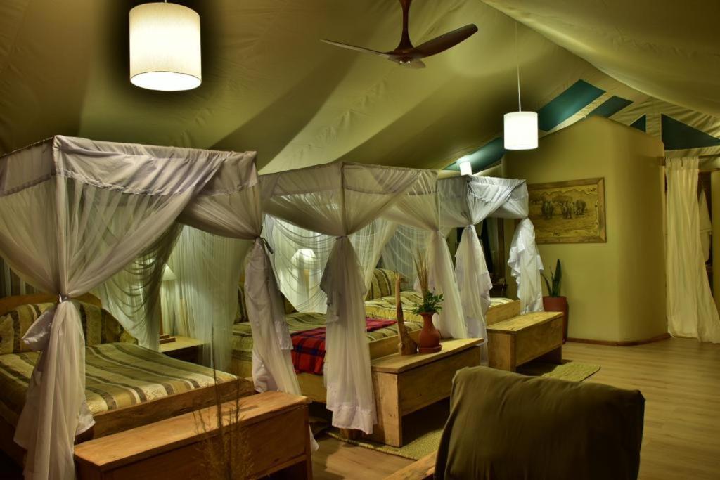 Mara Maisha Camp Talek Εξωτερικό φωτογραφία